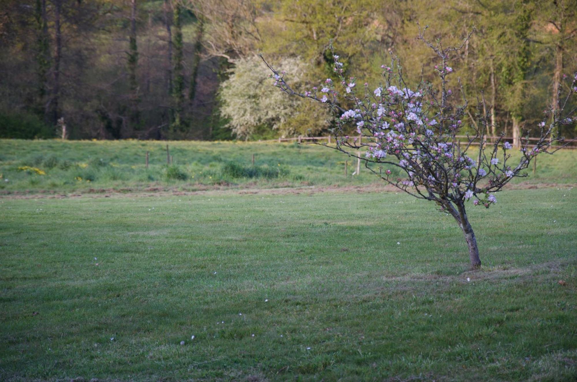 Gite Le Champ Libre Dompierre-Sur-Yon ภายนอก รูปภาพ